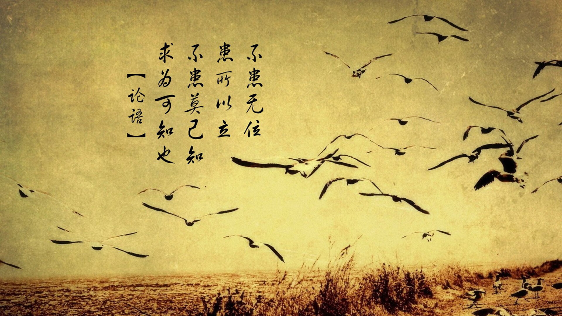 篮球世界的交错，北京队淘汰活塞，德罗赞德甲争冠战接管比赛