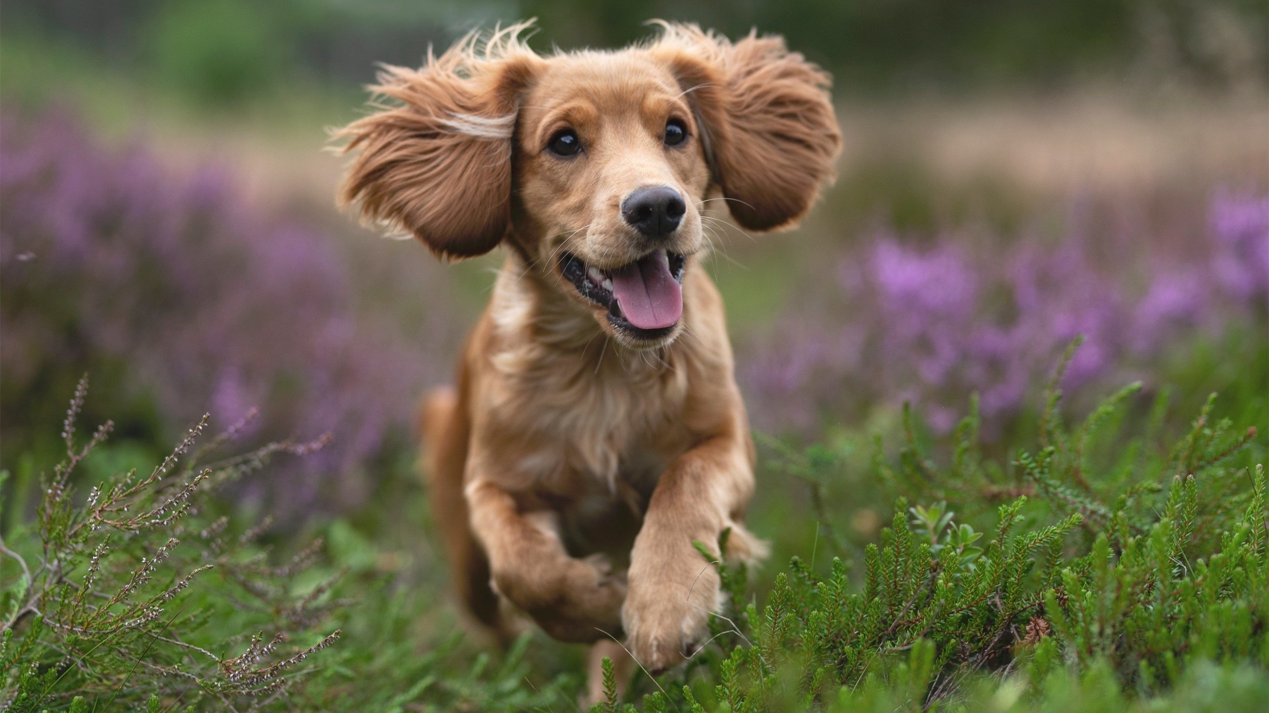 开云下载-利拉德50分点燃跨界之战！凯尔特人击败广厦创篮球历史新篇