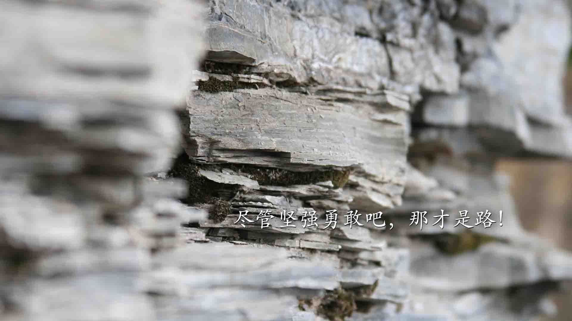 小城炬火,当步行者的团队之光熄灭独行侠的孤星