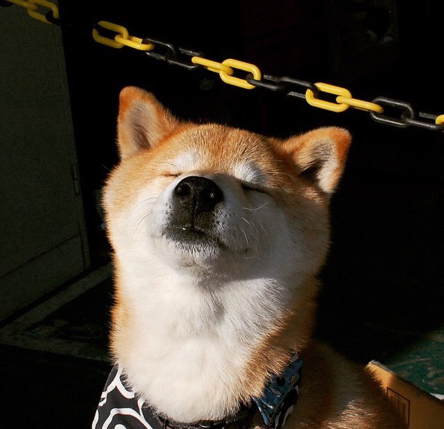 开云下载-凡尔赛宣言，孙兴慜用五分钟魔术让奥运关键战变为私人秀场