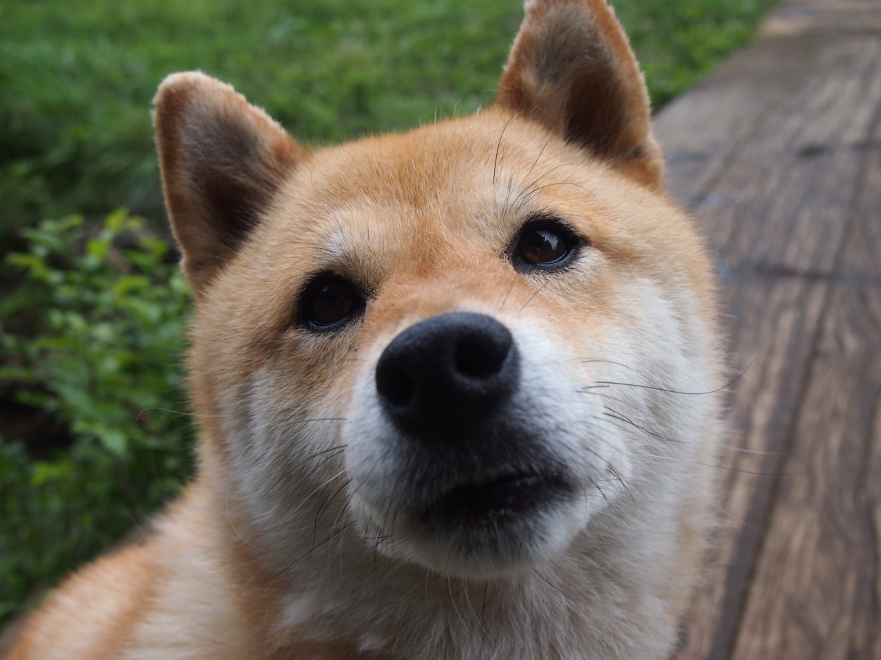 蓝桥烙印—当铁血切尔西绝杀格子军团，基米希的叹息铸就永恒史诗