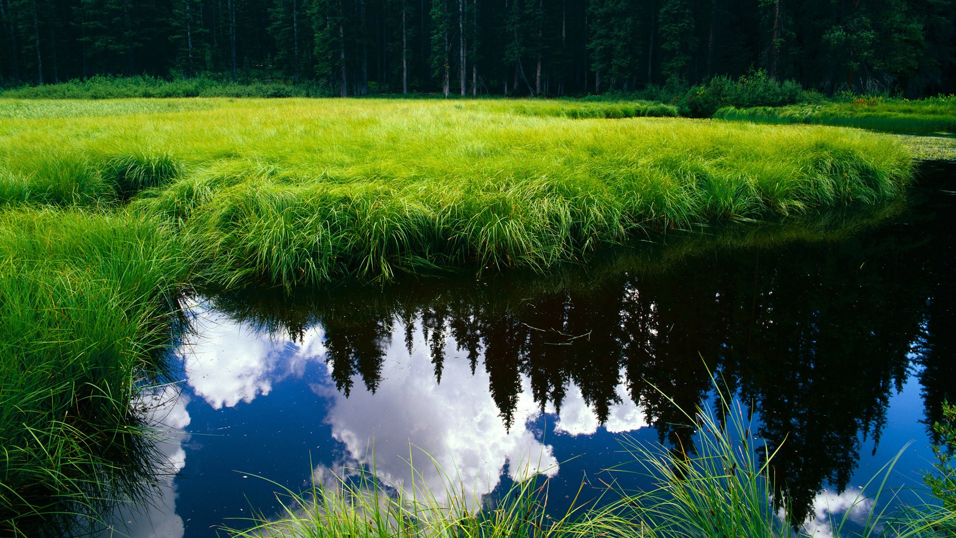 开云体育入口-布克的黄昏独舞，当唯一性在最后一秒显形