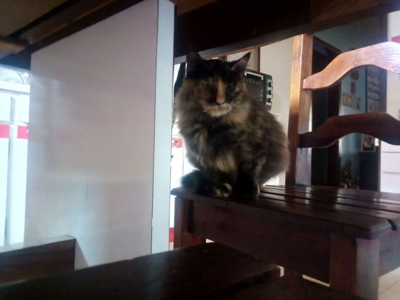 开云-节奏大师与秩序粉碎者,当德里赫特的掌控力遇见阿尔及利亚的破局战