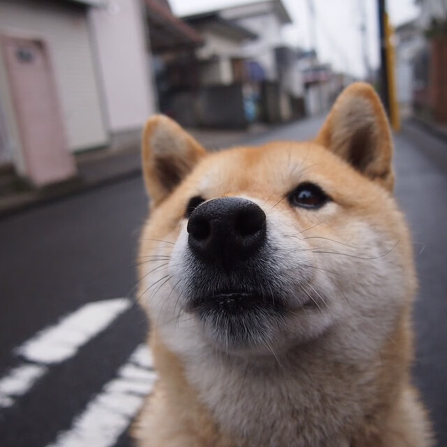 开云体育入口-唯一性,当热火的团队火焰遇上戈贝尔的个人冰川