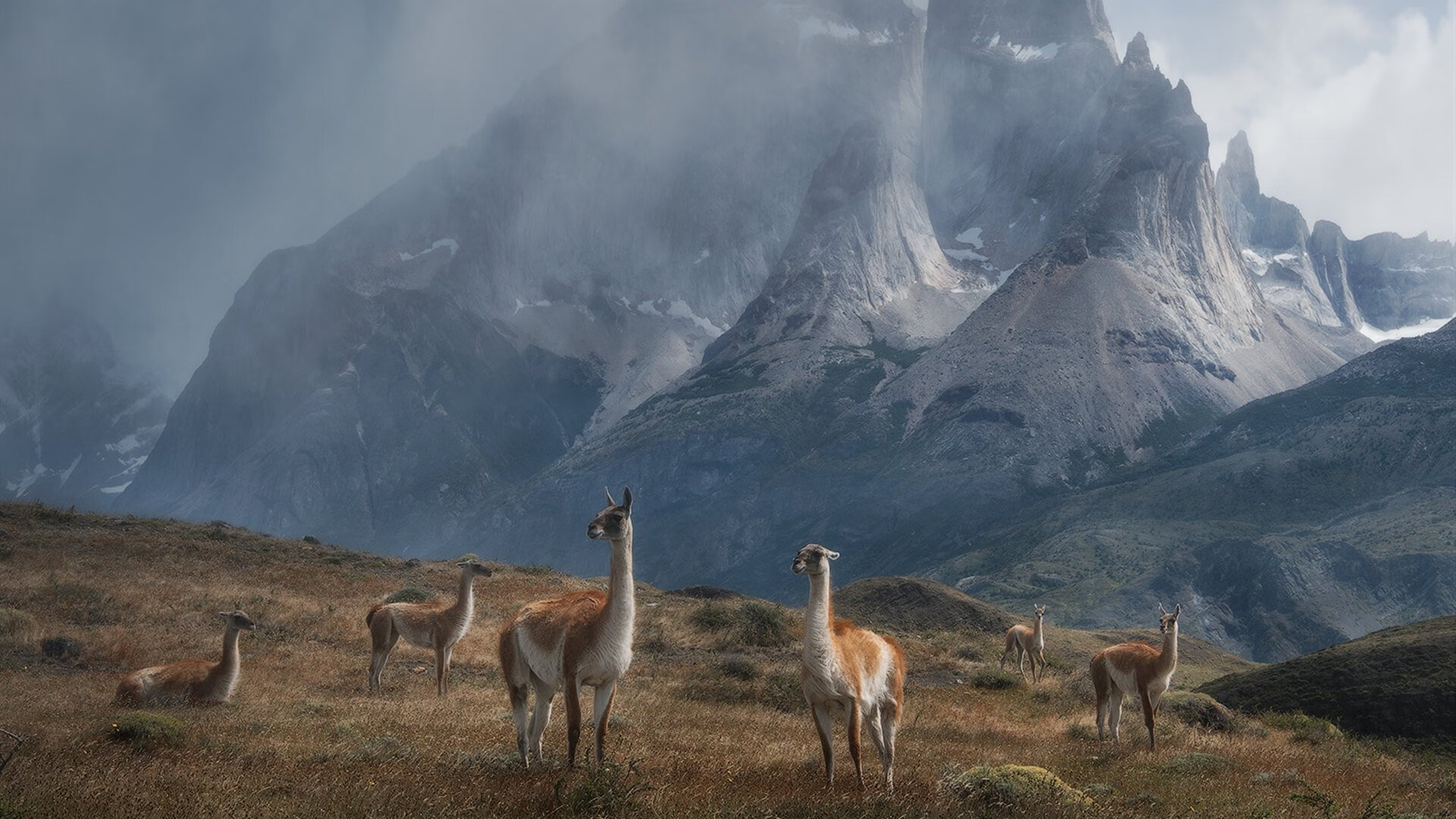 唯一之夜，F1冠军决战与塔图姆的无争议荣耀