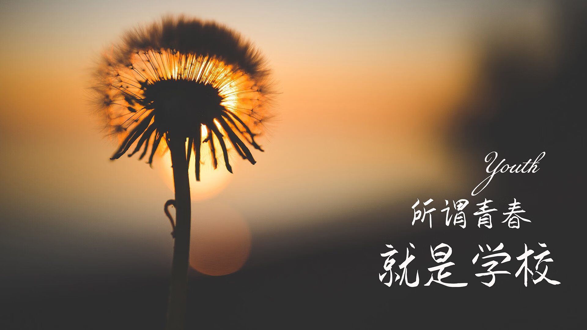 当胜利的钟声只为一人敲响,世界排名争夺战之夜的阿克