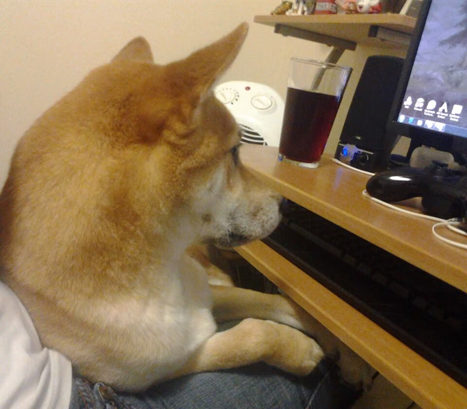 新王加冕日，旧主断魂时，当杜兰特轻越天际线，马刺将快船钉入历史尘埃