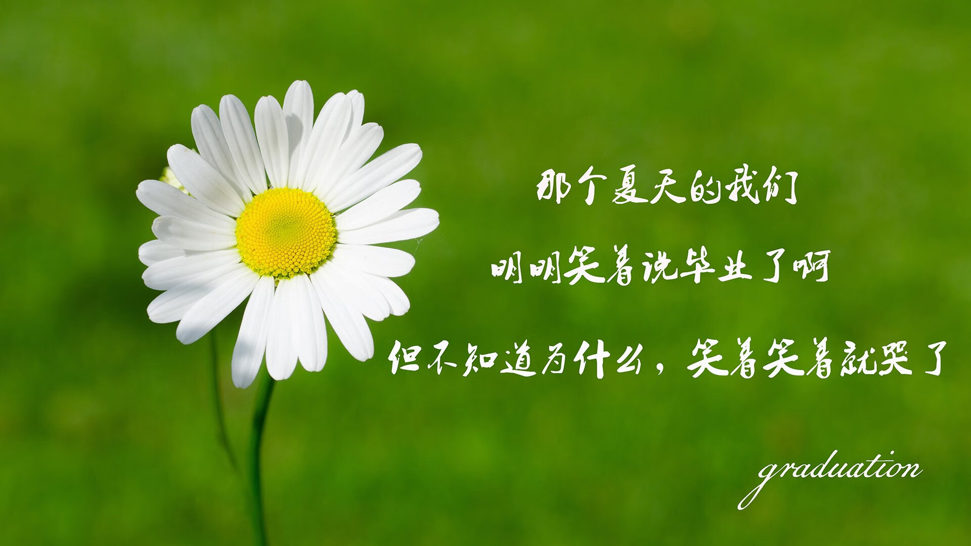 开云体育中国-双王座之夜,当库尔图瓦的满分神谕,撞上阿尔及利亚的绿洲风暴—论那一夜足球世界的唯一性