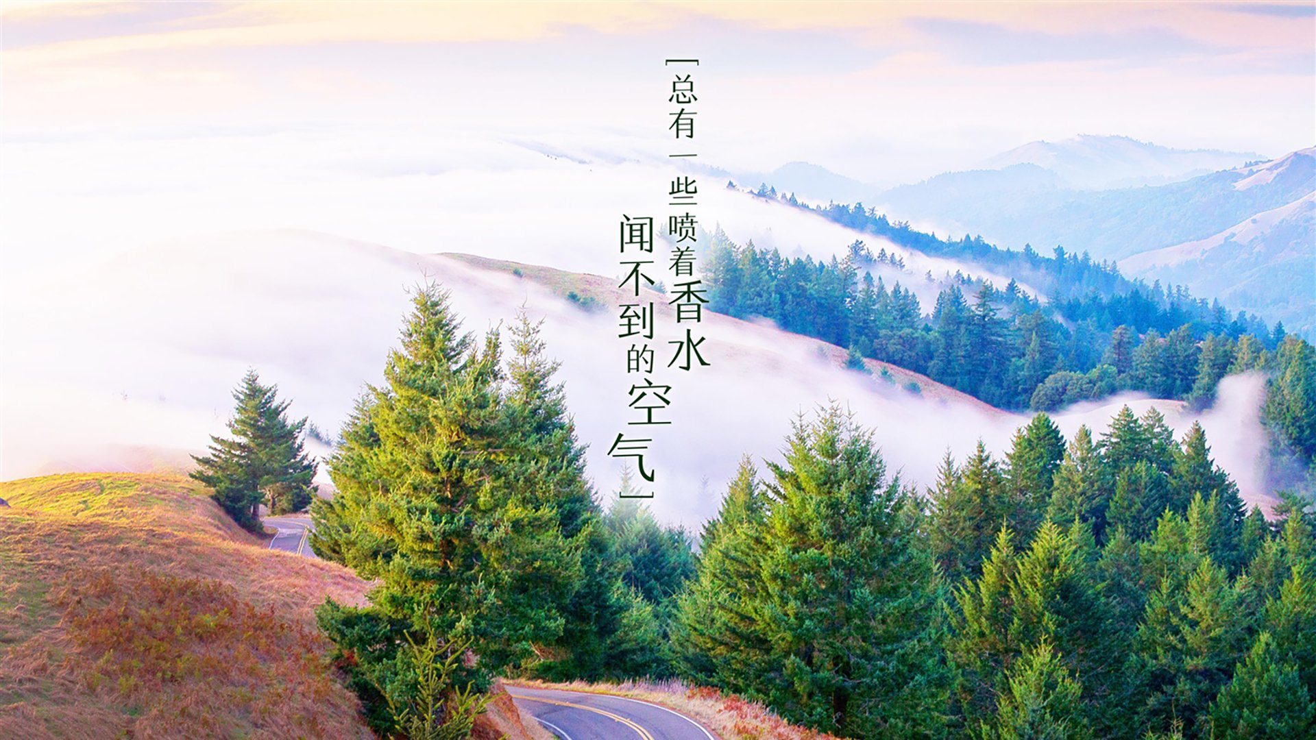 2026世界杯G组焦点战，波兰碾压乌兹别克斯坦，努涅斯主导比赛，快速反击犀利如刃