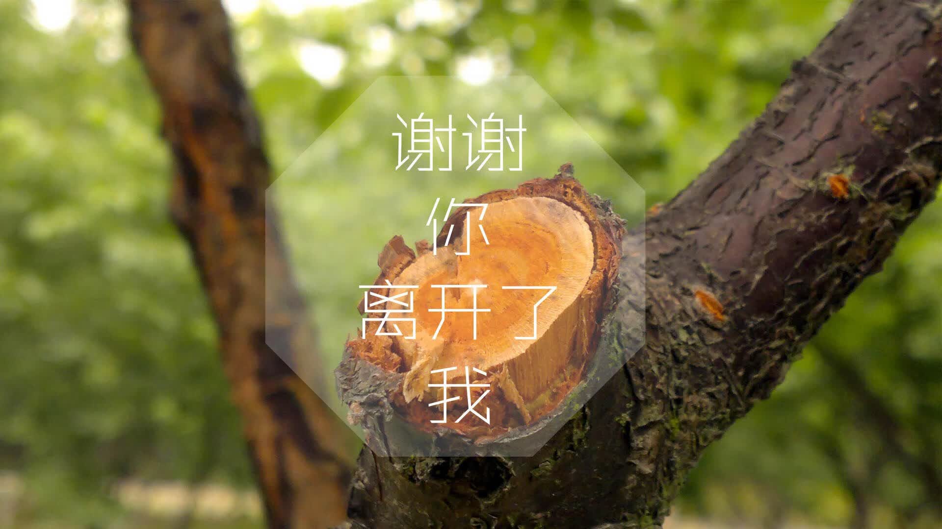 开云体育入口-2026，秘鲁的盛夏奇迹，当格列兹曼在美洲高原上点燃世界