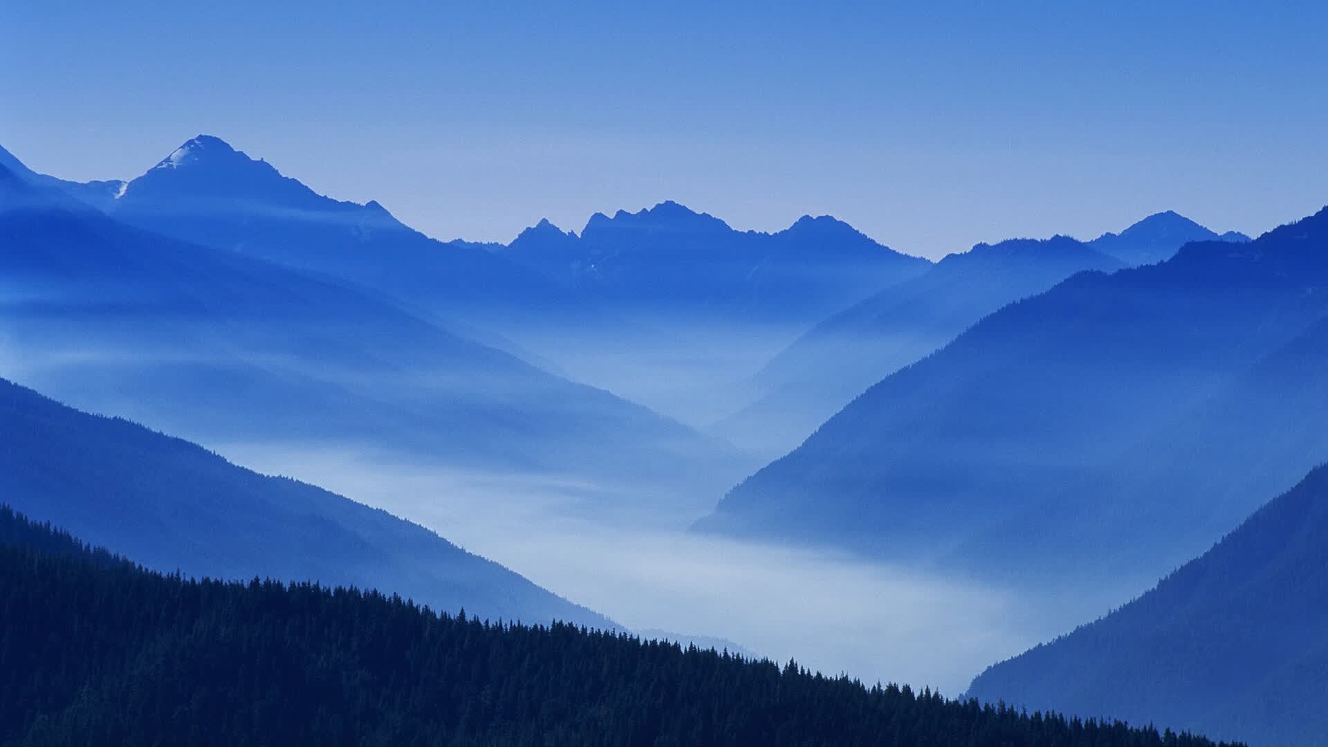 开云体育-美利坚的钢铁齿轮碾过桑巴海岸,当控球成为最锋利的武器,哈基米在沉默中引爆世界