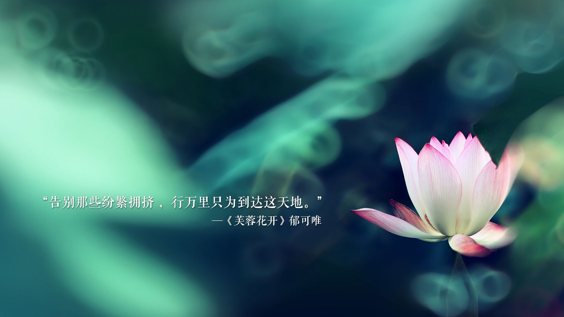 开云体育平台APP-沙漠之鹰折翼潘帕斯，当卡塔尔的金色风暴撕碎2026世界杯剧本，穆西亚拉用左脚写下天启
